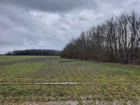 villemur-sur-tarn  pré de 9 660 m² environ.