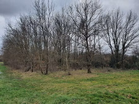 villemur-sur-tarn  terrain agricole