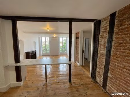 très bel appartement hypercentre vue tarn