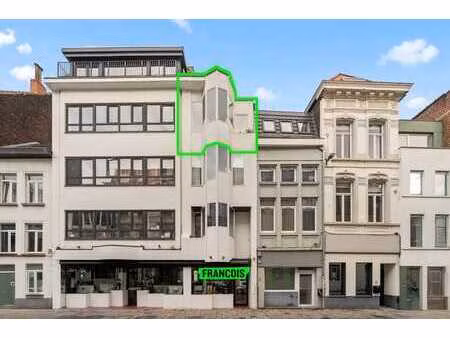 appartement rénové d'une chambre avec terrasse à vendre à g…