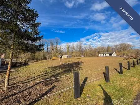 terrain de 49 ares av grande partie boisée