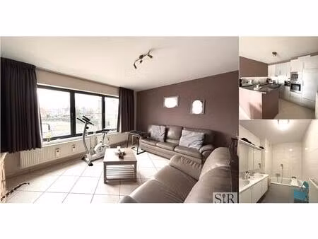 appartement à louer à mechelsesteenweg 252 malines (rbv28086)