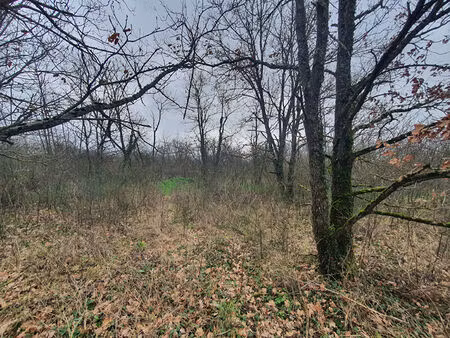 villemur-sur-tarn  terrain agricole