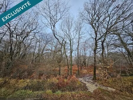 bois de 9 570 m² à 5min de toutes commodités