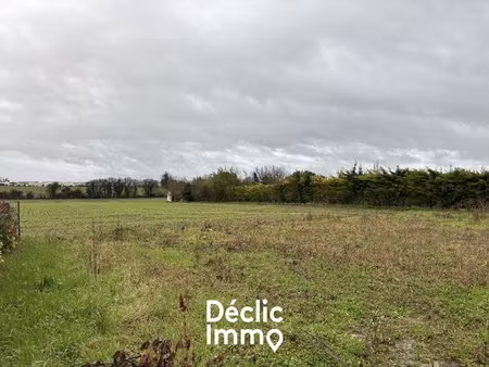 terrain constructible