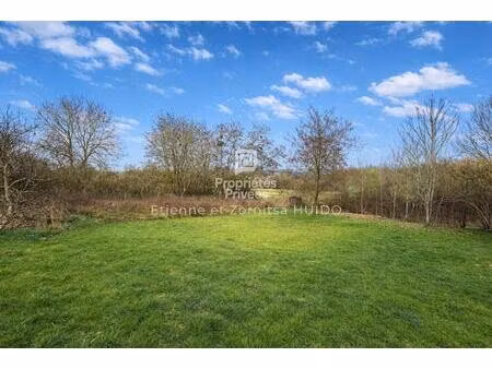 terrain buxeuil 1850 m2