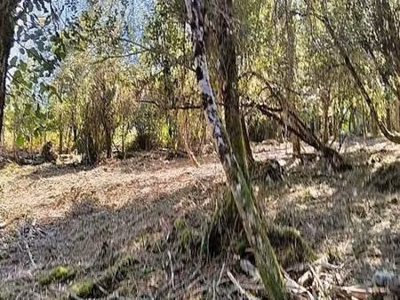 terrain de 7280m² dont 1620m² constructible