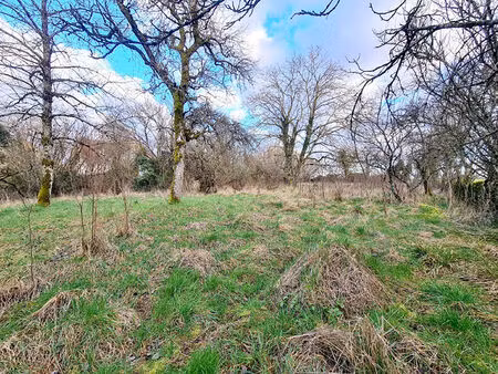 terrain 0 pièces 1063 m² à vendre / acheter chaumont 52000 ? | era immobilier