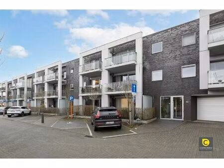 gelijk app: 2 slk  2 t en p