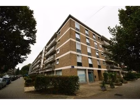 commercieel gelijkvloers