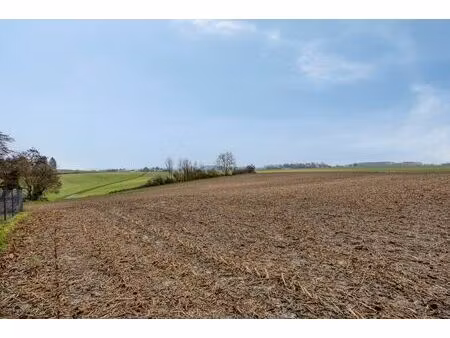 landbouwgrond vrij van pacht in bierbeek op een perceel van 1ha
