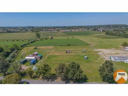 maldegem - bouwgrond met weide in groene omgeving