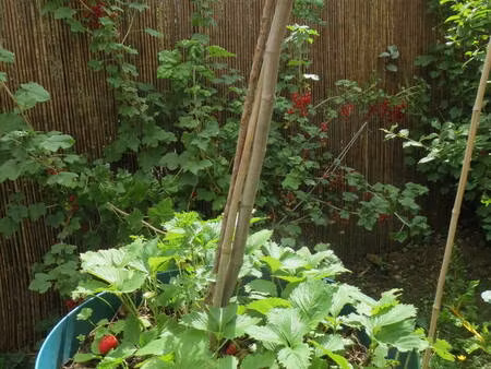 aubervilliers (93300)