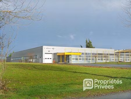 montredon labessonnie - local d'activité  entrepôt industriel 1 200 m²