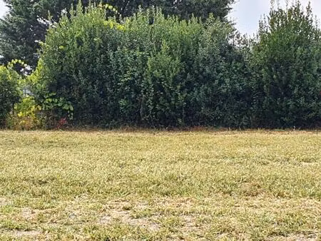 terrain à bâtir à samonac (33710)