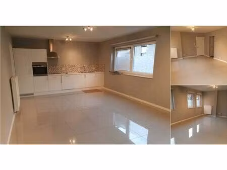 appartement à louer à chemin du lapin 50c leuze-en-hainaut (vbd88159)