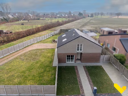 huis te koop in westerlo met 6 slaapkamers