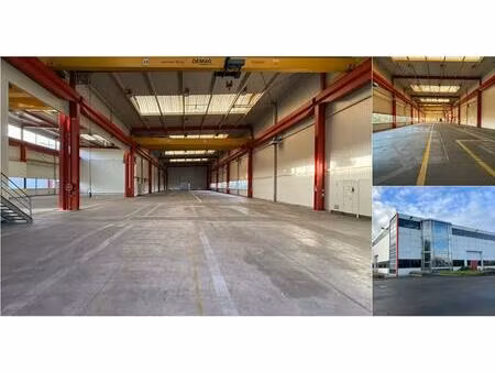 surface industrielle à louer à kalkensteenweg 21 wetteren (rbv28268)