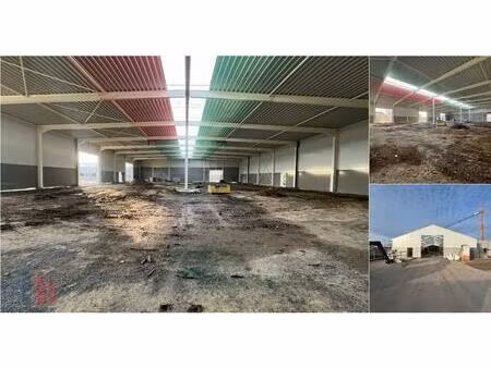 surface industrielle à louer à moleken 60 wichelen (rbv28271)