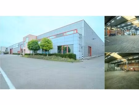 surface industrielle à louer à vitshoekstraat 10 burcht (rbv28264)