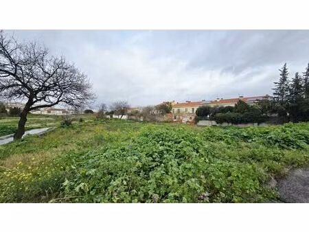 terrain constructible