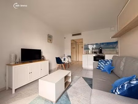 achat : appartement (17590)