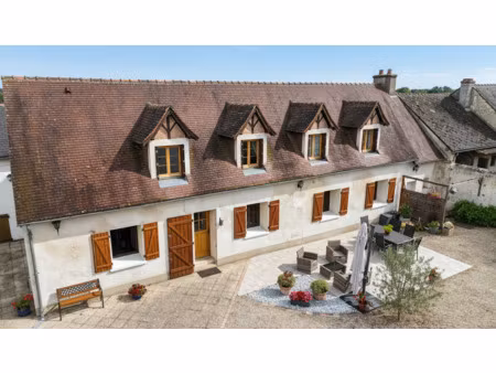 achat maison 11 pièces 228m² amboise 37400