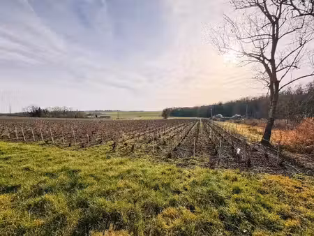 une parcelle de paradis entre vignes et nature