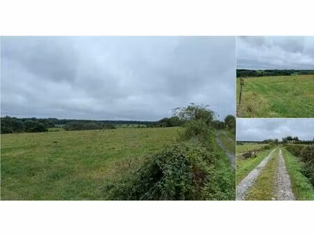 terrain à vendre à chemin duwez leugnies (vbd87747)