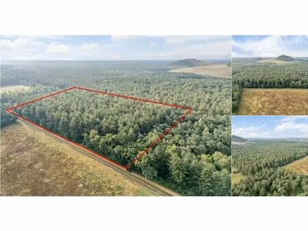 terrain agricole à vendre à de grote heide opglabbeek (rbv28163)