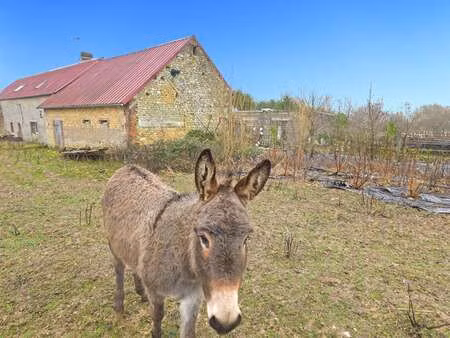 vente terrain à sainte-scolasse-sur-sarthe (61170) : à vendre / 2m² sainte-scolasse-sur-sa