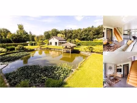 chalet à vendre à puttekensberg 32 wechelderzande (rbv28618)