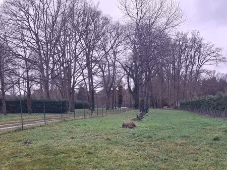 vente terrain 1095 m² brain-sur-allonnes (49650)