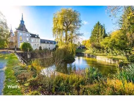 spacieuse habitation dans le magnifique château d'avionpuits