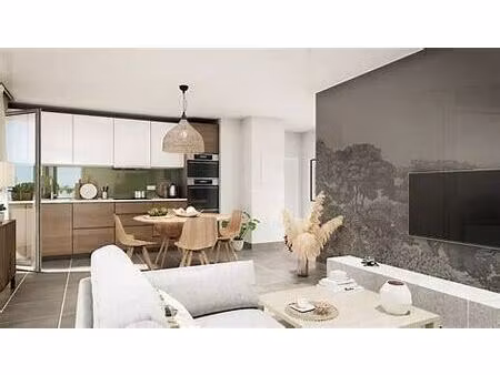 vente appartement 3 pièces 80 m² mulhouse (68200)