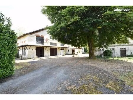 immeuble   commerce   maison