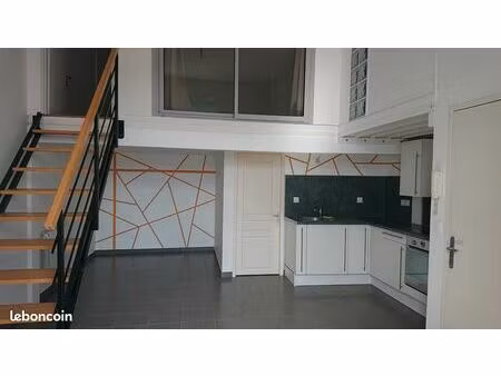 appartement 30 m² + 15 m² mezzanine avec jardin
