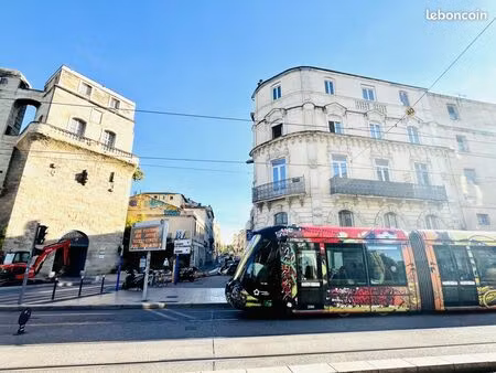 studio 1 pièce 26 m²