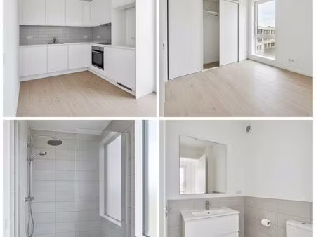 appartement t2 rénové roubaix