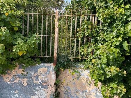 terrain le crotoy 450 m2