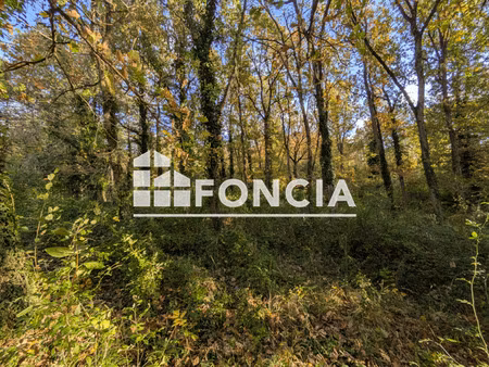 terrain boisé non constructible sur poligny 11 186m2