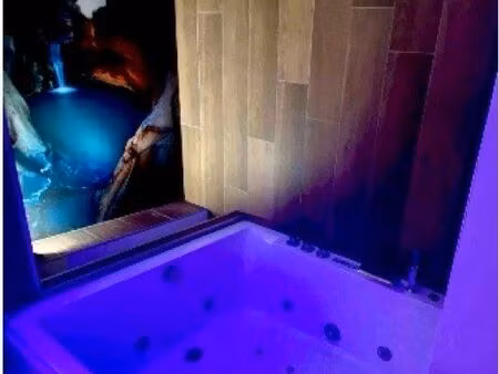 location loft 1 chambre 57m2 à vaulnaveys