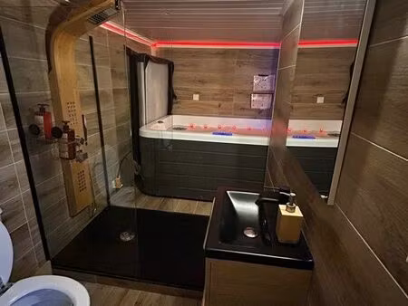 appartement airbnb love room lyon 9