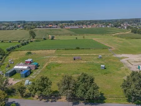 terrain à vendre à maldegem € 448.000 (ll316) - horse immo | zimmo