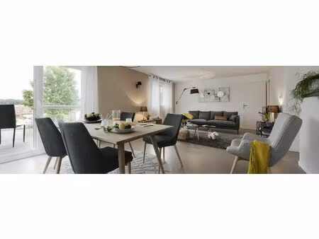 vente appartement 1 pièce 51 m² hésingue (68220)
