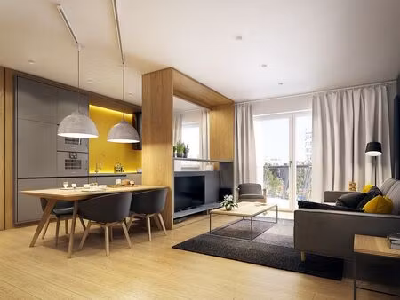 vente appartement 1 pièce 49 m² mulhouse (68100)