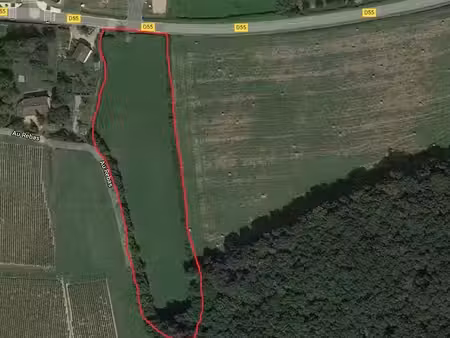 a lugny  proche macon en bourgogne terrain de 10 000 m² env a