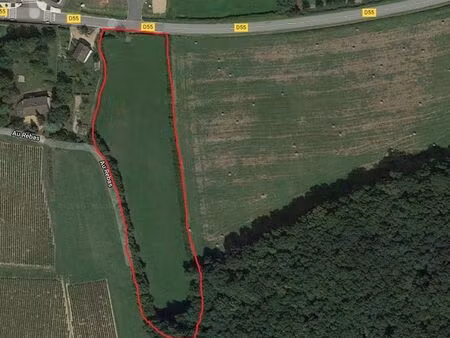 vente terrain 9344 m² lugny (71260)