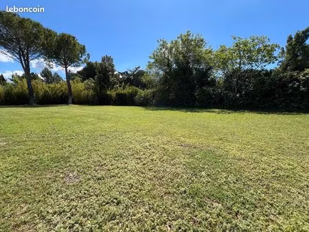 terrain constructible