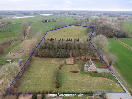 maison à vendre à koningshooikt € 798.000 (ll2g3) - immo vercammen | zimmo